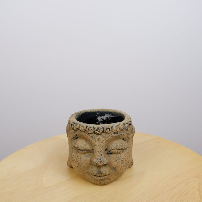 pot-buddha-camel-03