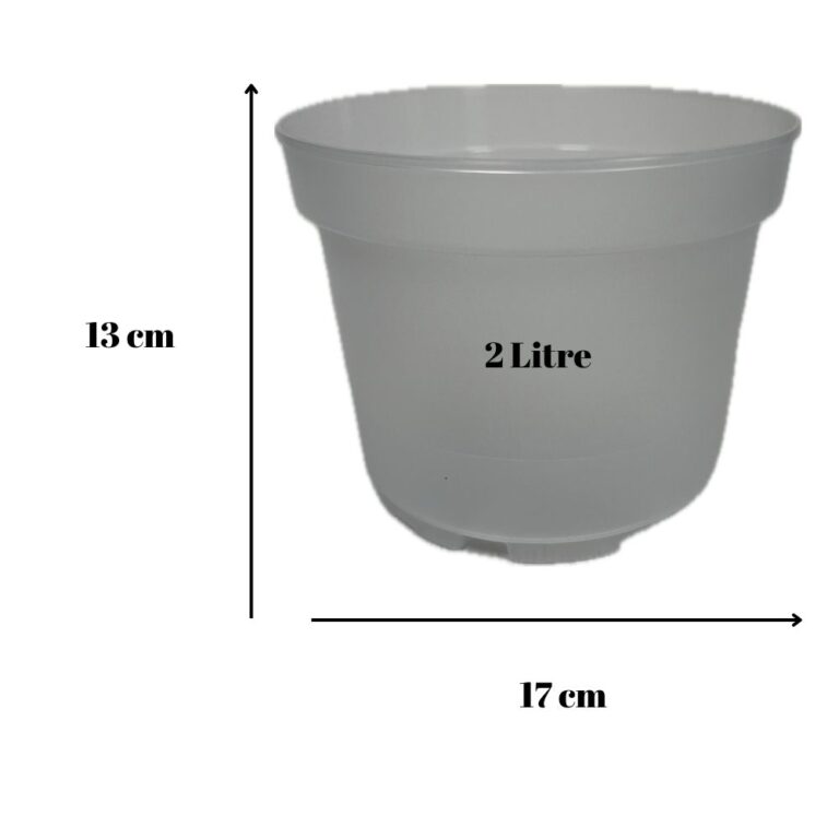 Şeffaf Saksı 2 Litre 17 cm