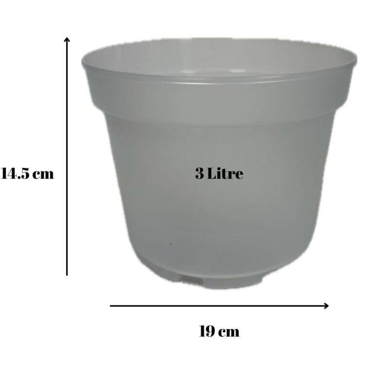Şeffaf Saksı 3 Litre 19 cm
